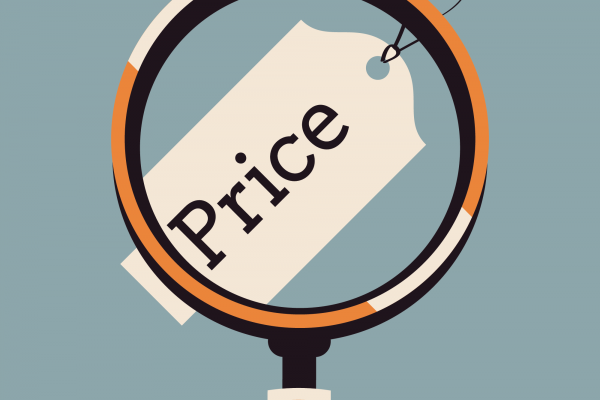 Webinar "The art of pricing" | SKIM