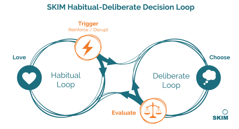 SKIM Habitual Deliberate Loop